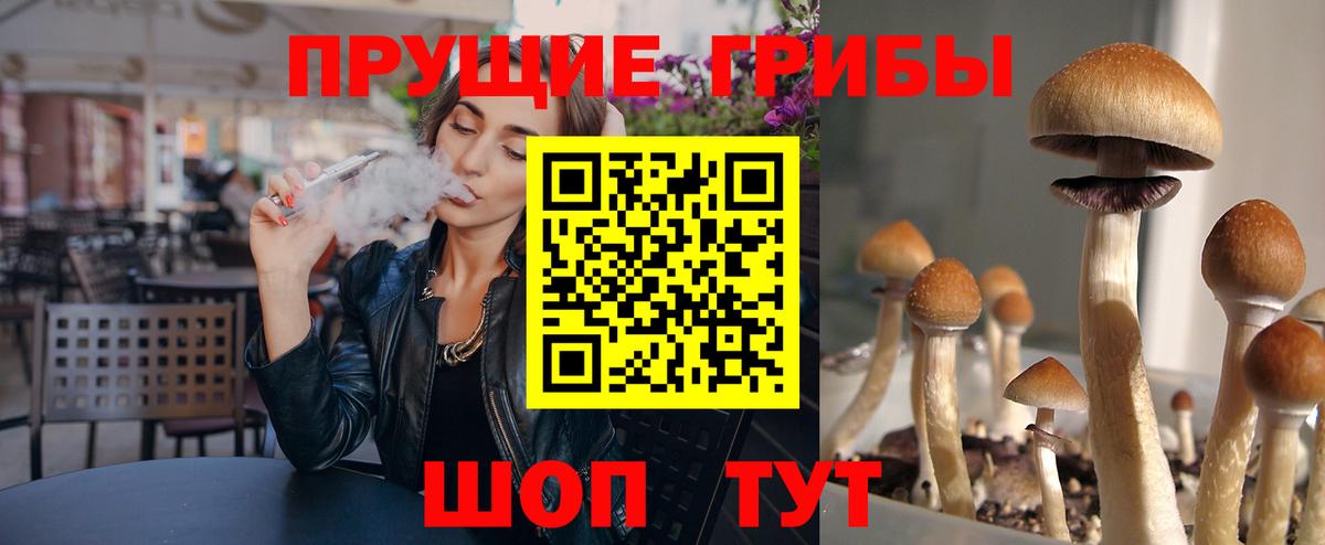 Зима  Псилоцибиновые грибы прущие грибы  Вход с VPN 