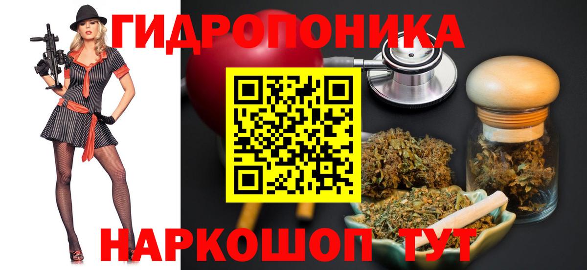 Зима  Бошки Шишки сатива  Вход с VPN  Конопля AK-47  Марихуана White Widow 